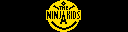 The Ninja Kids